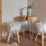 Mala Sowka * Kościelisko