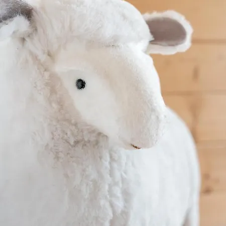 Séjour chez l'habitant Mala Sowka Kościelisko