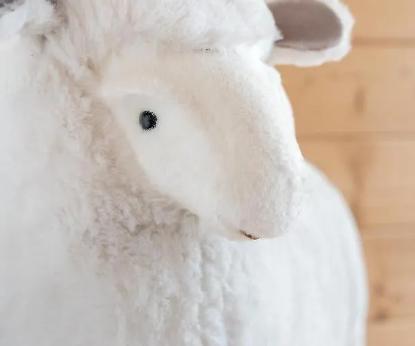 Проживание в семье Bialasowka Косцелиско