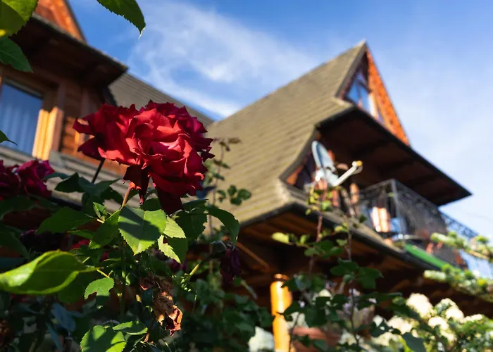 Проживание в семье Bialasowka *