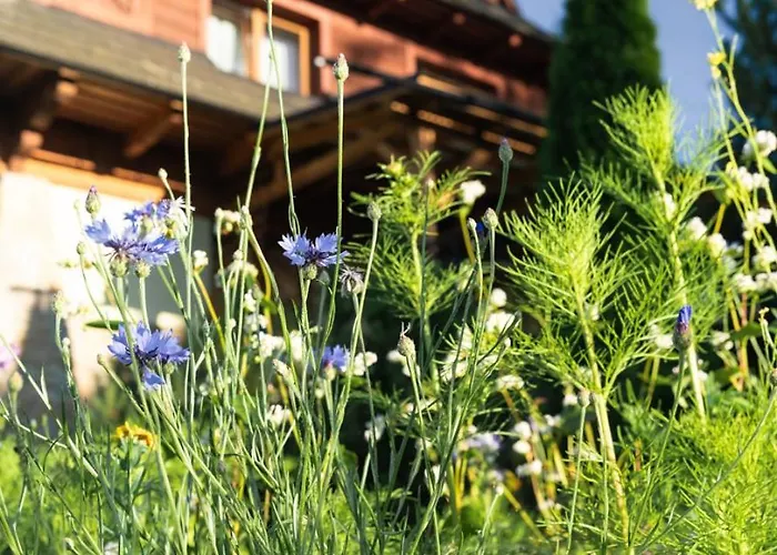 Bialasowka Косцелиско